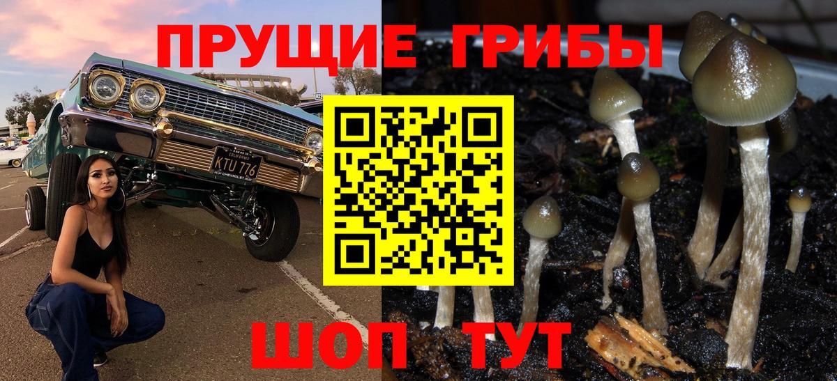 Нижнекамск  Псилоцибиновые грибы Psilocybe  Вход с VPN  Галлюциногенные грибы Cubensis 