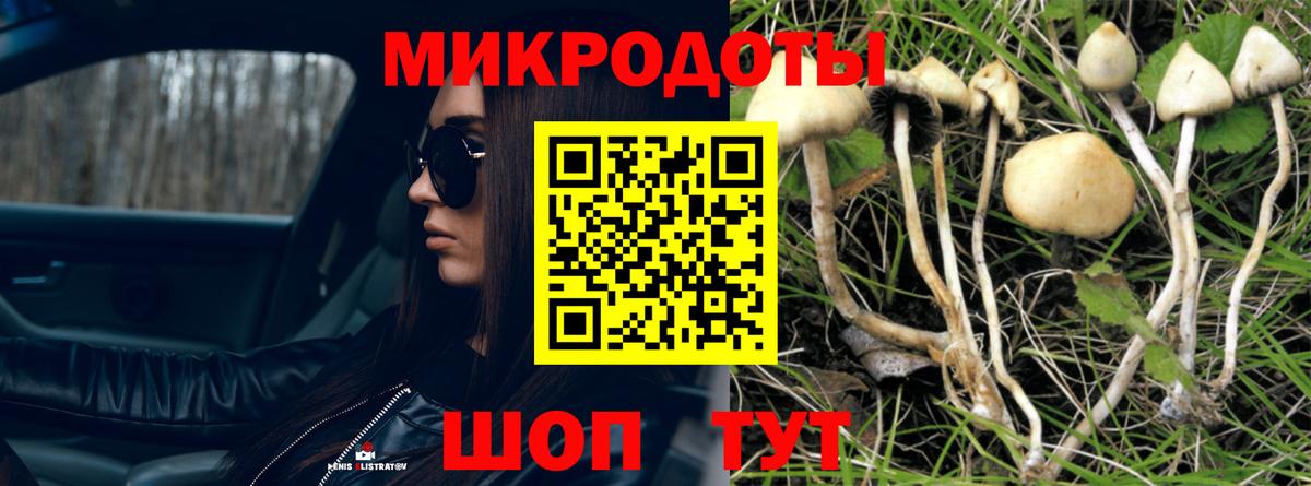 Псилоцибиновые грибы прущие грибы Нижнекамск